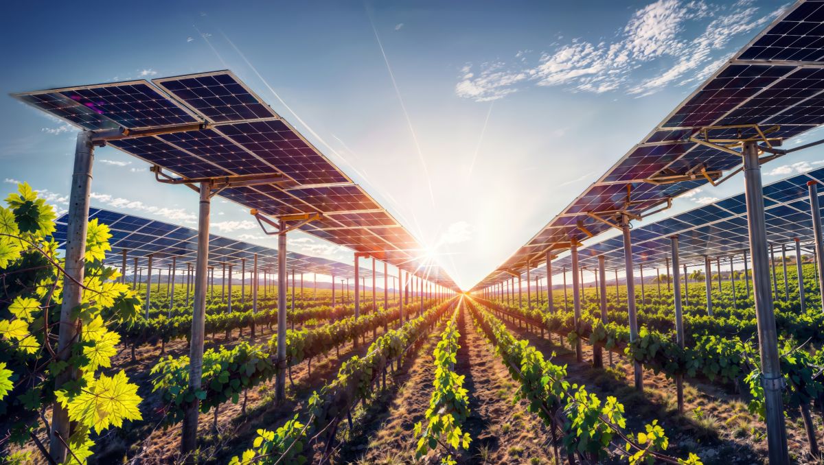 L’ Agrivoltaico: L’innovazione sostenibile che unisce agricoltura ed energia solare