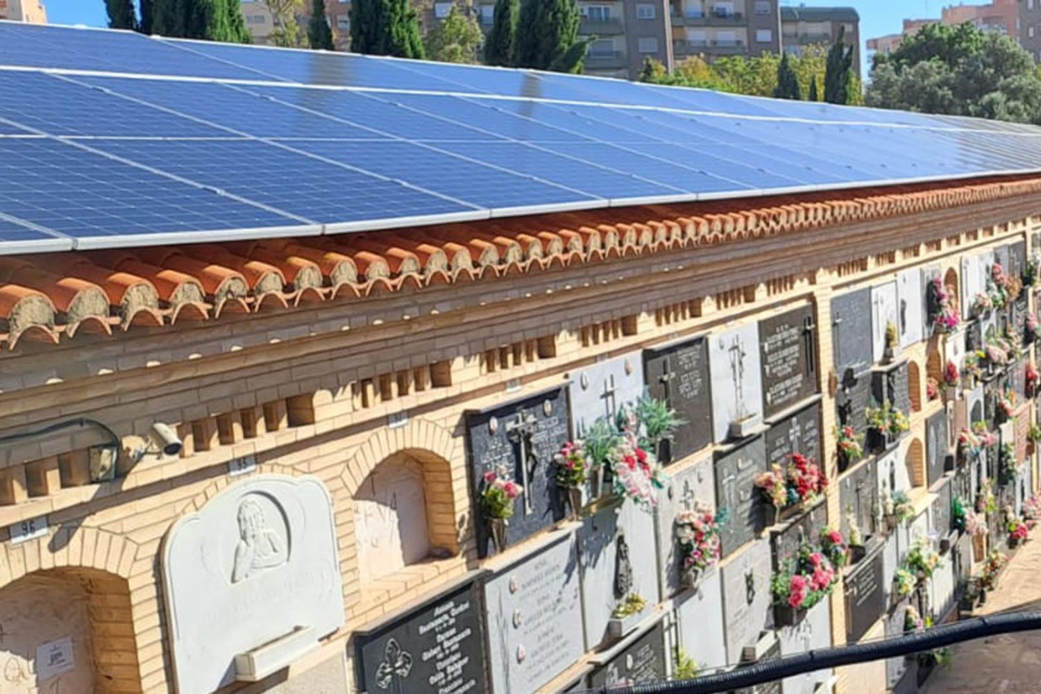 Requiem in Power: Il Cimitero che Diventa un Parco Fotovoltaico